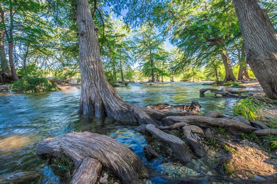 River Bluff Cabins Rio Frio Eksteriør bilde